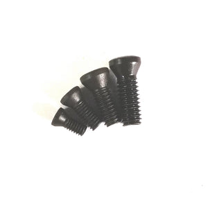 torx head screw